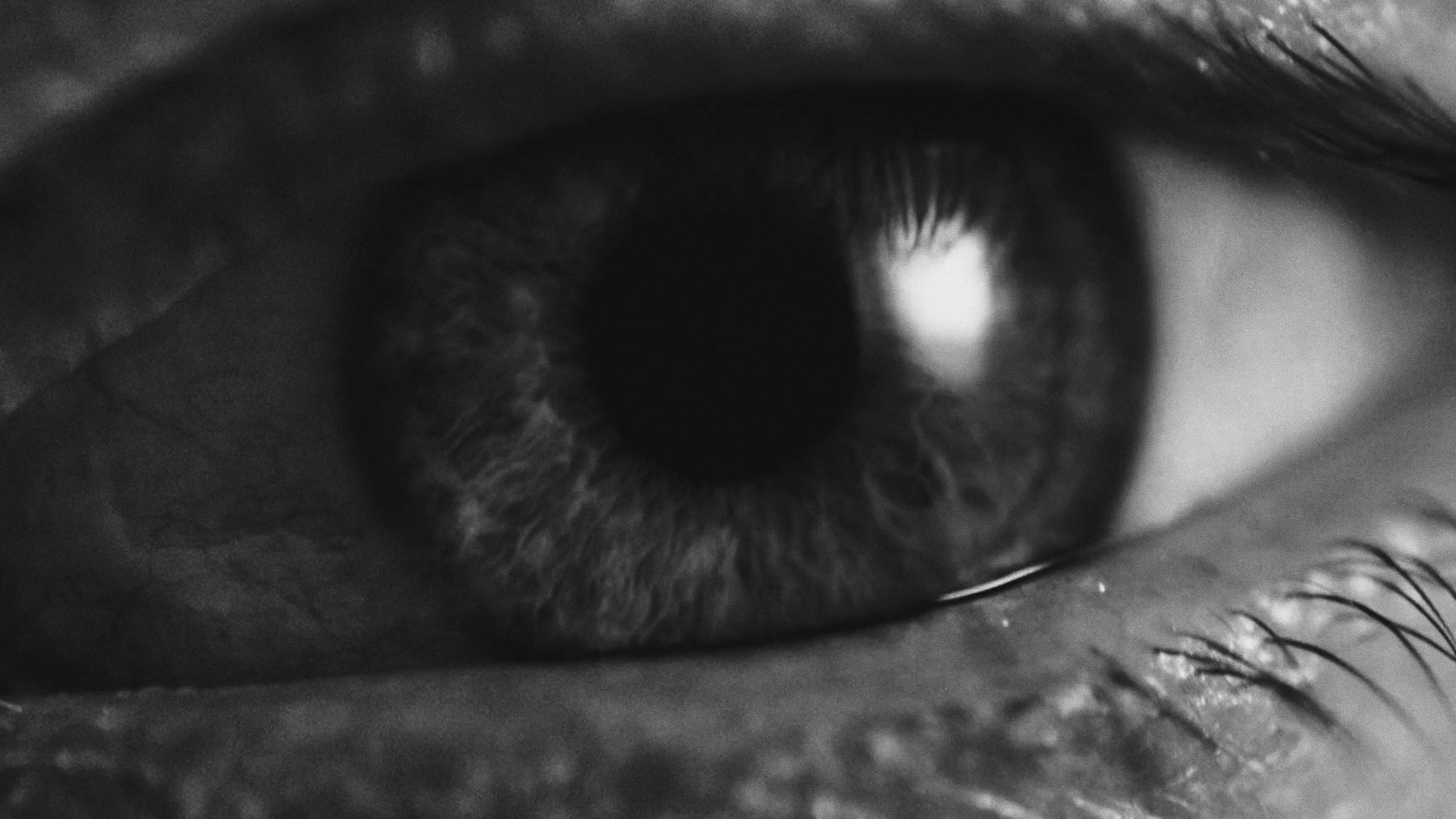 Kodiak/crypto Launching